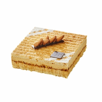 Le Dacquois